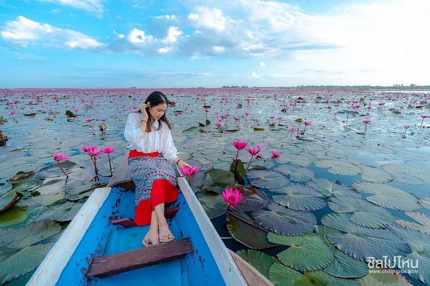 ทะเลบัวแดงจังหวัดอุดรธานี